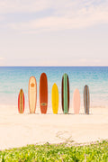 Surf's Up Vertical, Mauna Kea