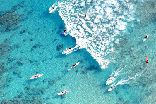 Surfing Waikiki