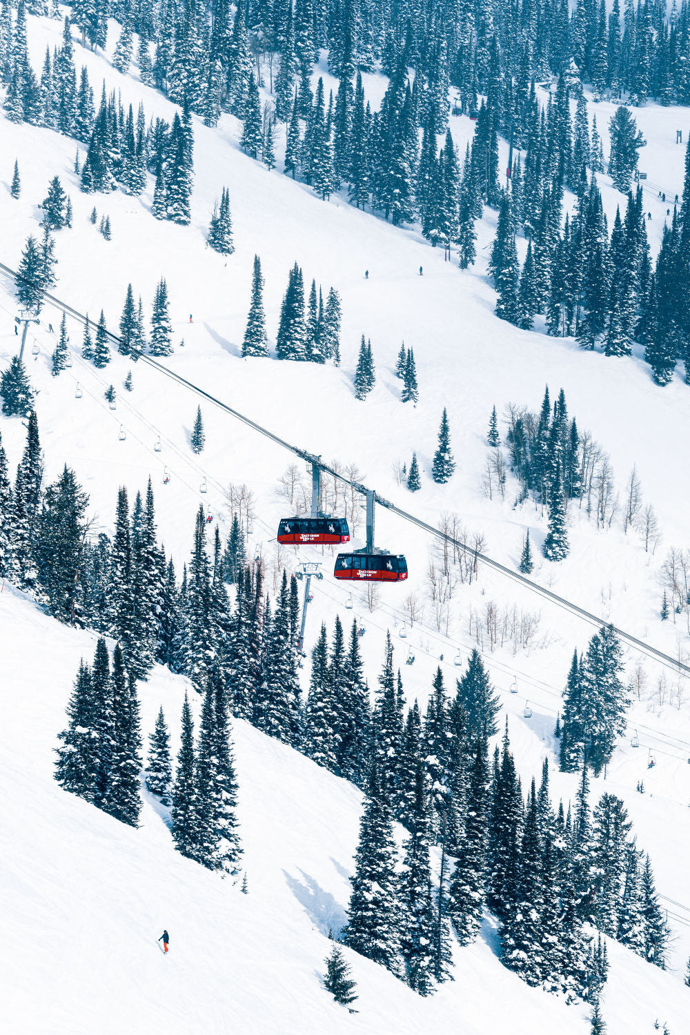 The Aerial Trams Vertical, Jackson Hole