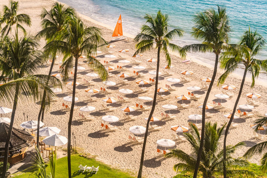 Product image for The Beach Overlook, Mauna Kea