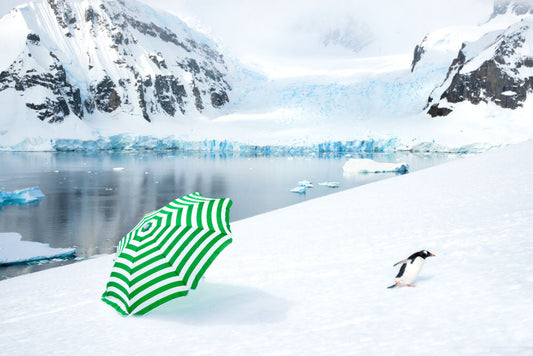 Product image for The Beach Umbrella, Antarctica