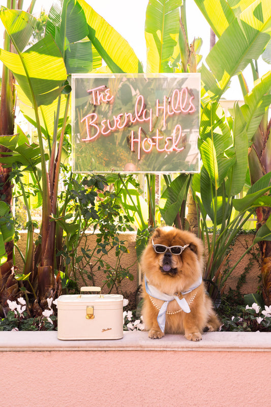 The Chow Chow, The Beverly Hills Hotel