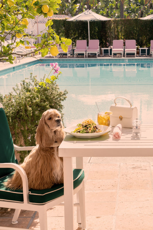 Product image for The Cocker Spaniel, The Beverly Hills Hotel