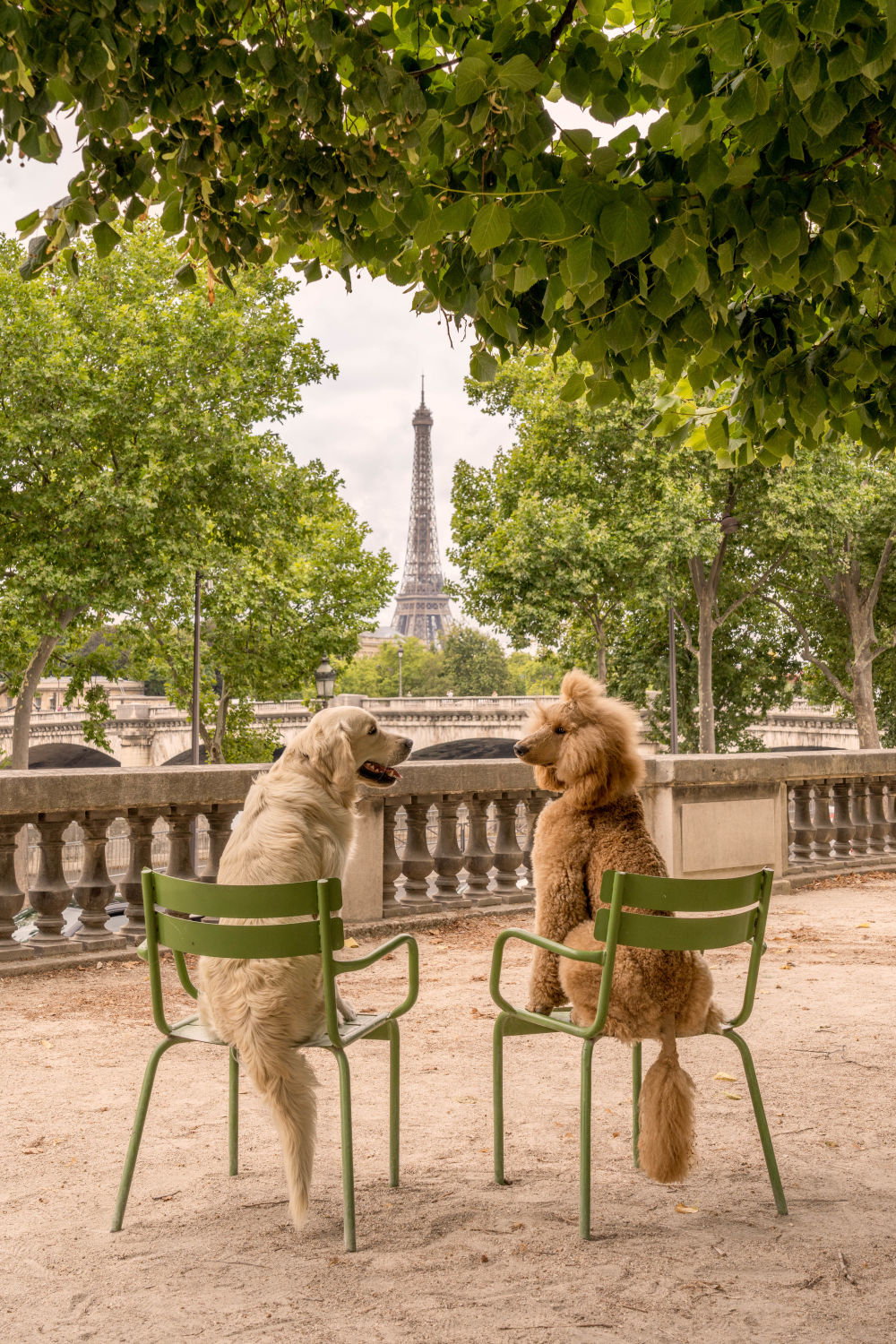 The Couple, Jardin de Tuileries, Paris