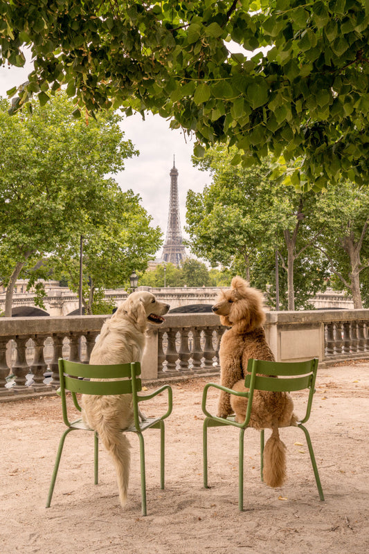 The Couple, Jardin de Tuileries, Paris