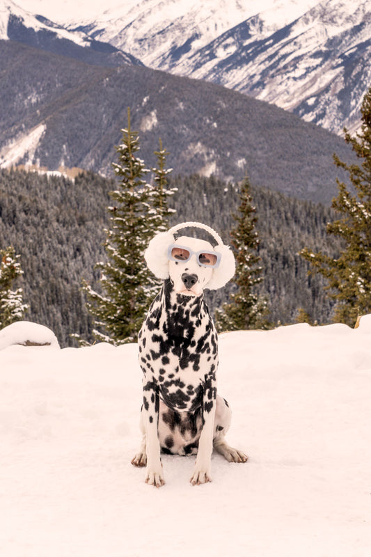 The Dalmatian, Aspen