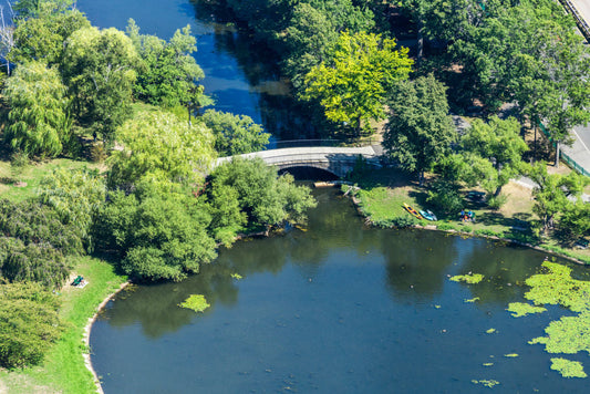 Product image for The Esplanade Bridge, Boston