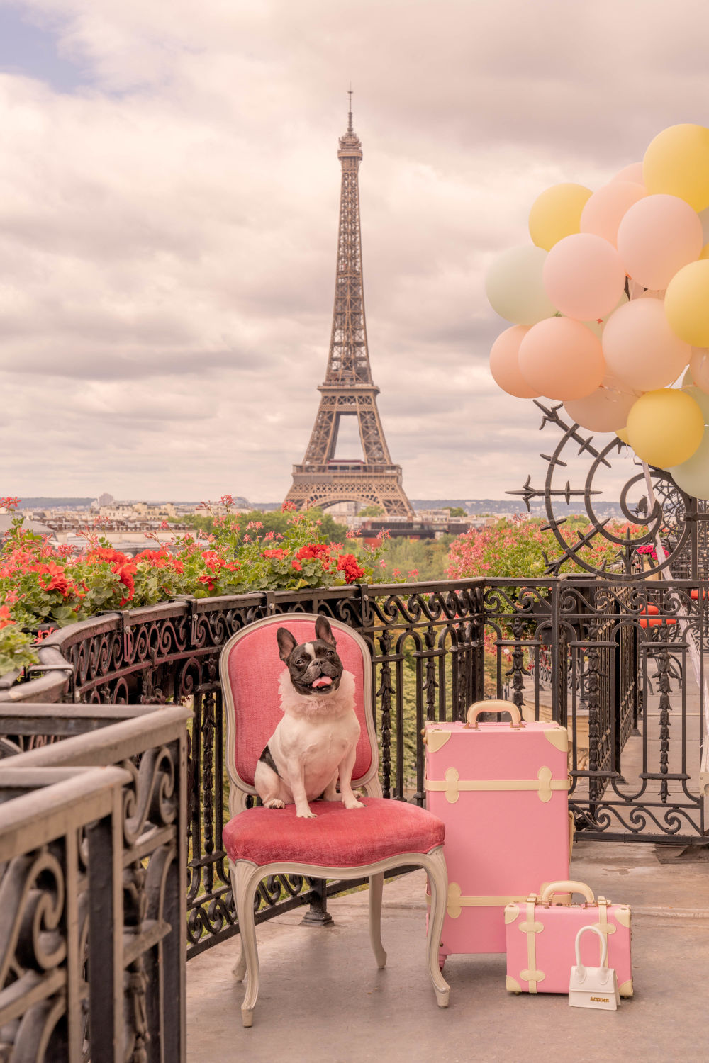 The French Bulldog, Hôtel Plaza Athénée