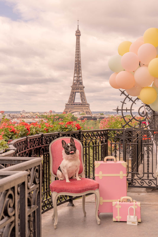 Product image for The French Bulldog, Hôtel Plaza Athénée