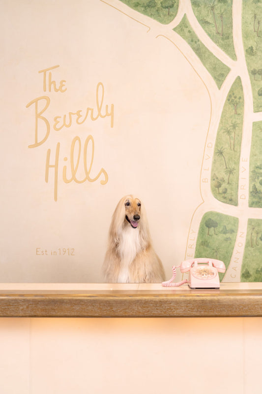 The Front Desk, The Beverly Hills Hotel