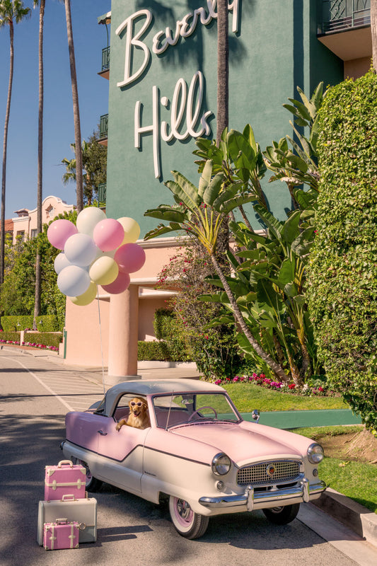 Product image for The Golden Retriever, The Beverly Hills Hotel