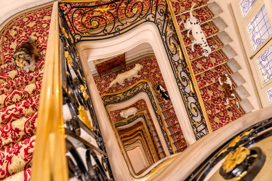 Product image for The Grand Stairway, Hôtel Plaza Athénée