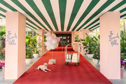 The Labrador Retriever, The Beverly Hills Hotel