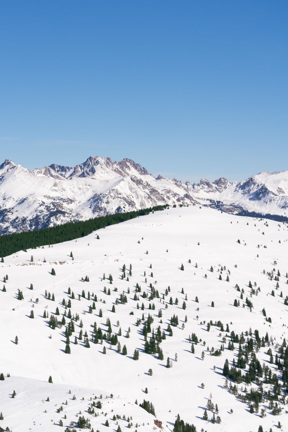 The Legendary Back Bowls Triptych, Vail