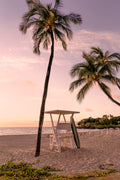 The Lifeguard Stand, Mauna Kea