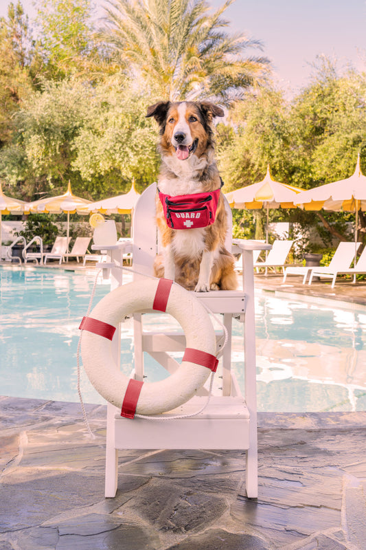 The Lifeguard, Parker Palm Springs