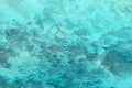 The Paddle Boarders, St. Barths