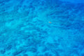 The Paddleboarder, Maui