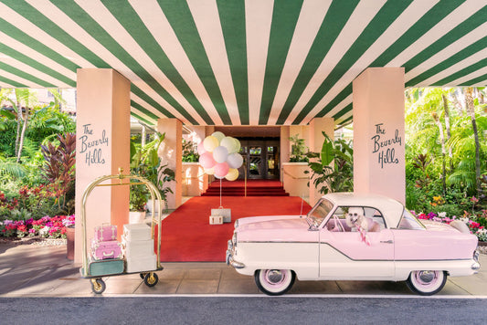 Product image for The Pink Poodle, The Beverly Hills Hotel