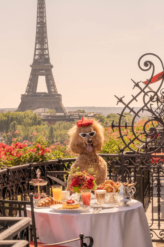 The Poodle, Hôtel Plaza Athénée