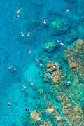 The Reef, Maui