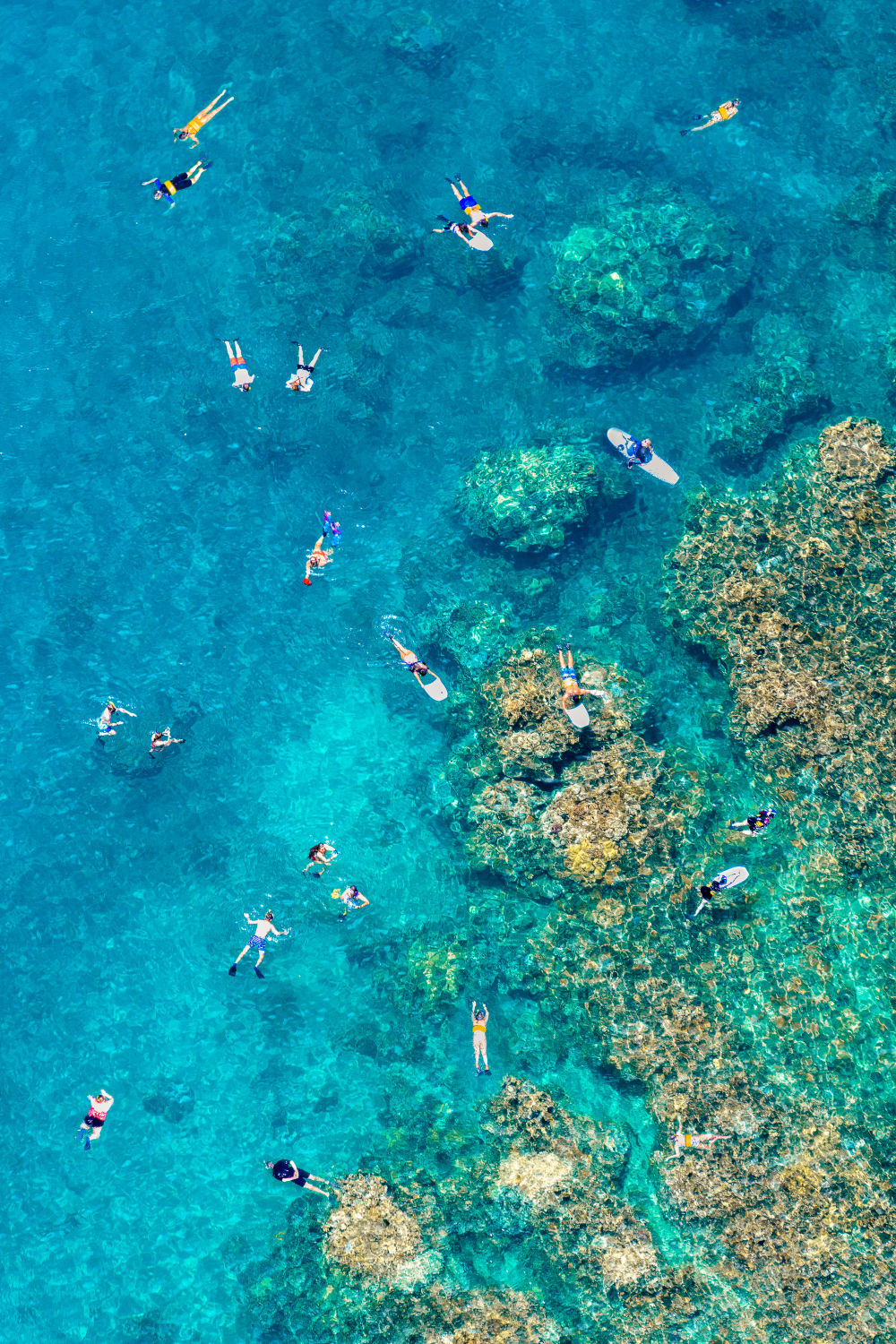 The Reef, Maui