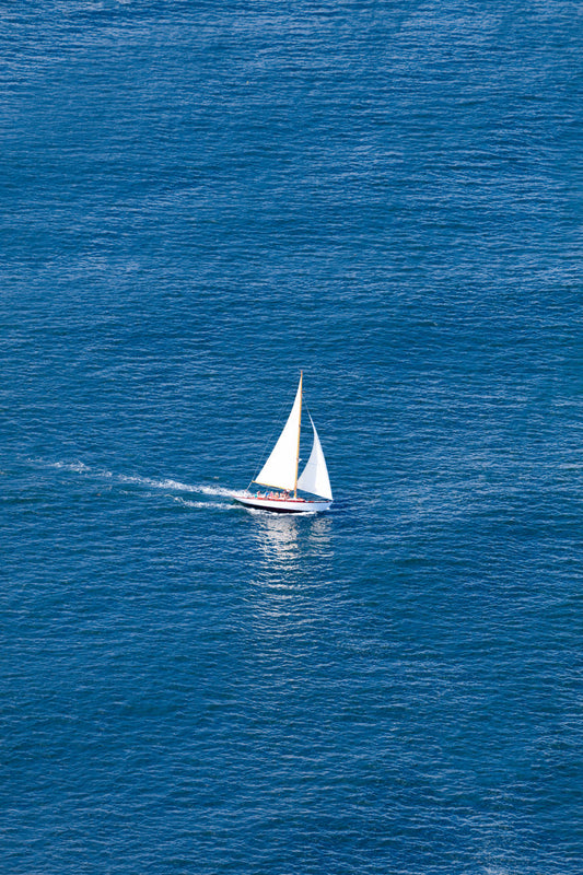 Product image for The Sailboat Vertical, Maine