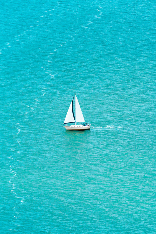 Product image for The Sailboat Vertical, Naples, Florida