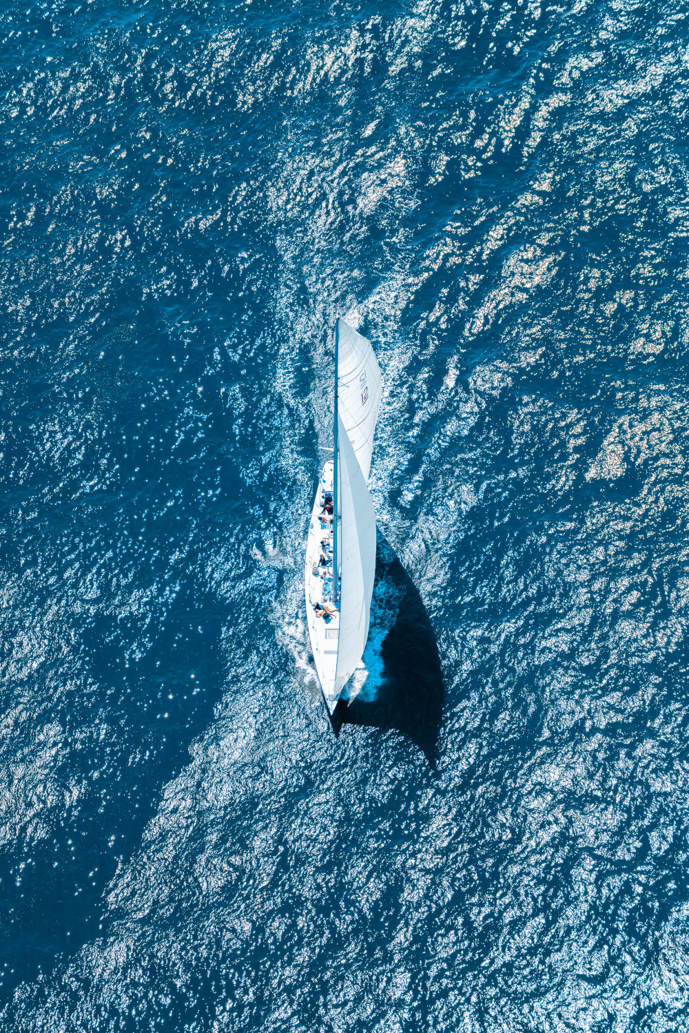 The Sailboat, Newport Harbor