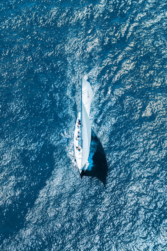 Product image for The Sailboat, Newport Harbor