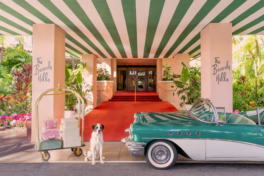 The Saint Bernard, The Beverly Hills Hotel