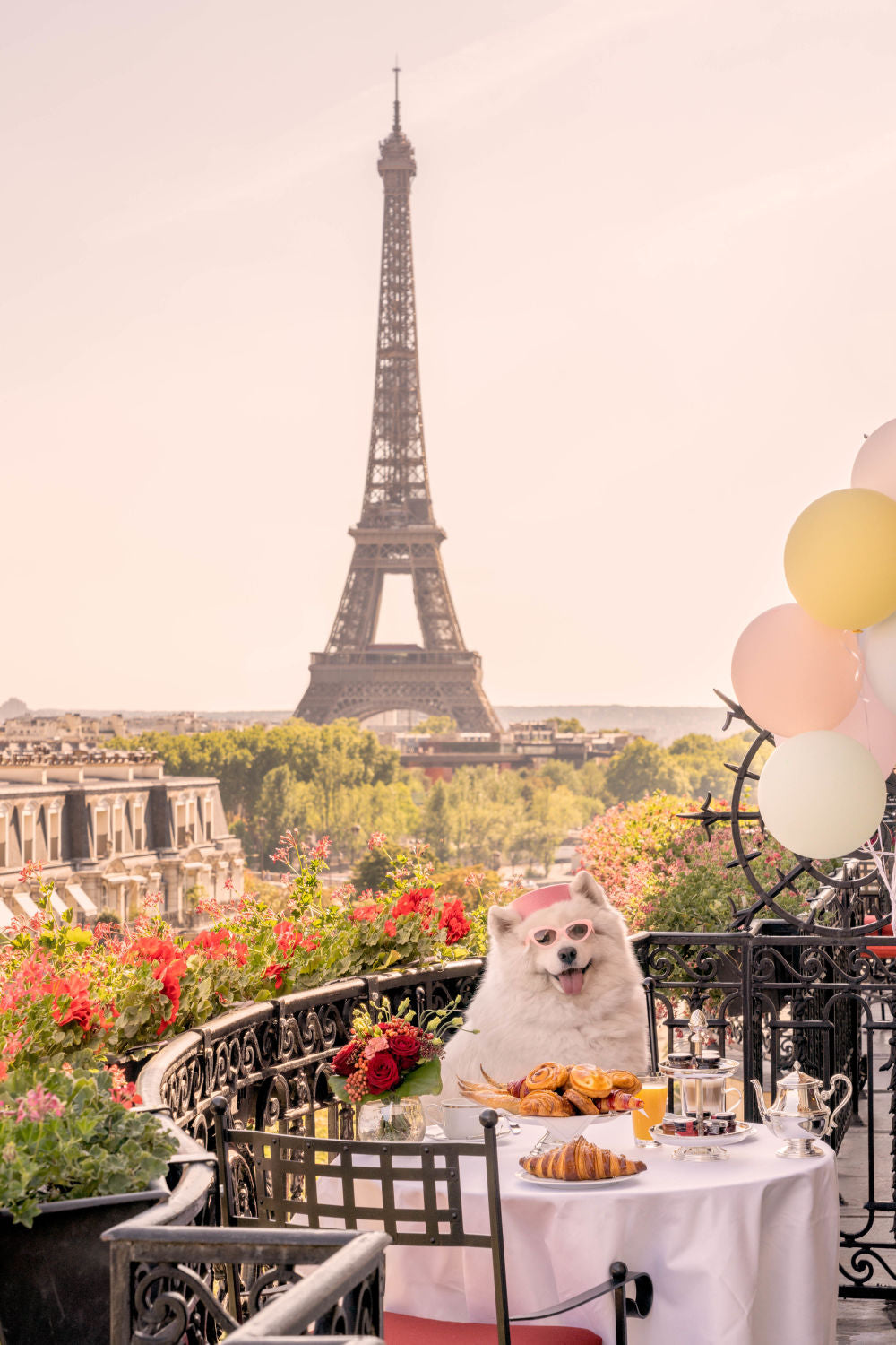 The Samoyed, Hôtel Plaza Athénée