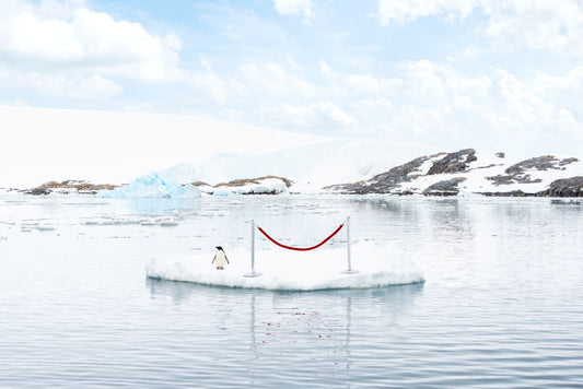 Product image for The Shifting Landscape II, Antarctica