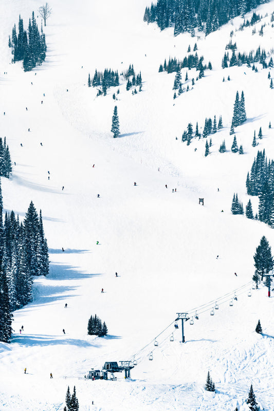 Product image for The Ski Run, Jackson Hole