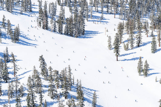 Product image for The Skiers, Lake Tahoe