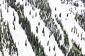 The Slope, Aspen