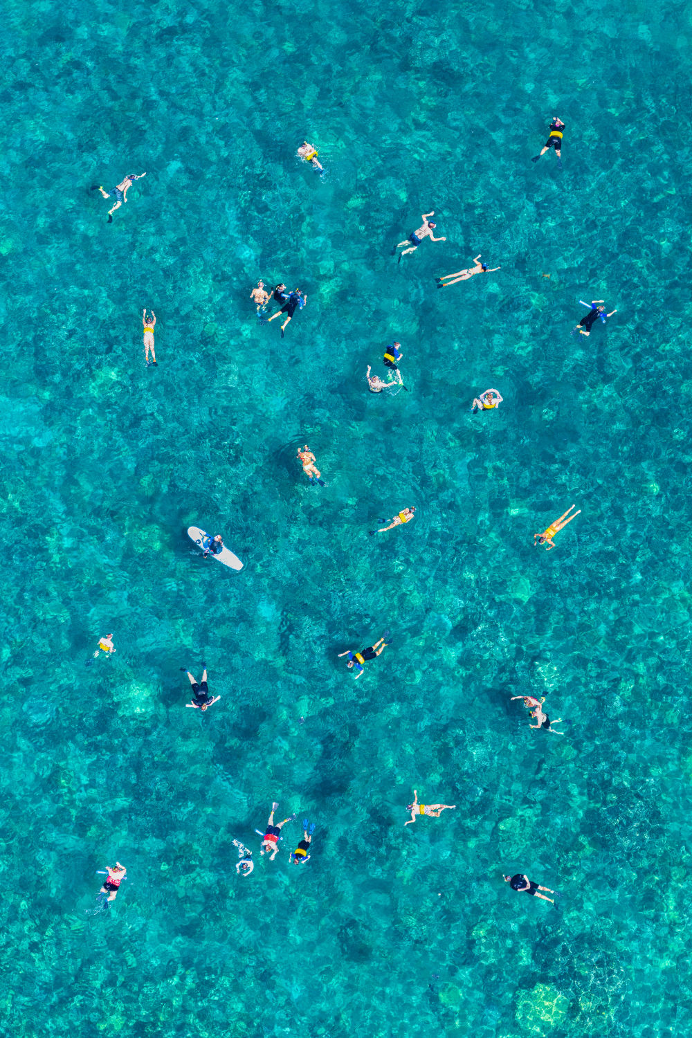 The Snorkelers, Maui