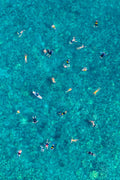 The Snorkelers, Maui