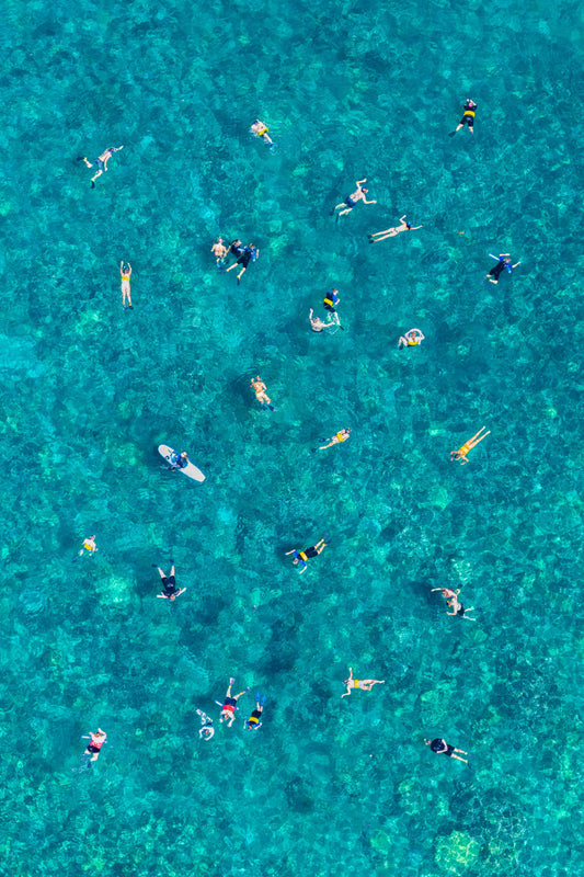 Product image for The Snorkelers, Maui