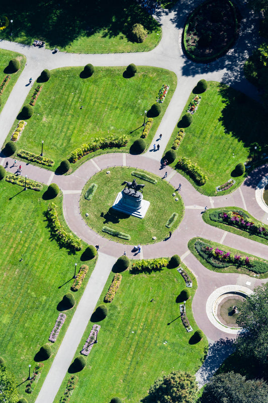 Product image for The Statue, Boston Public Garden