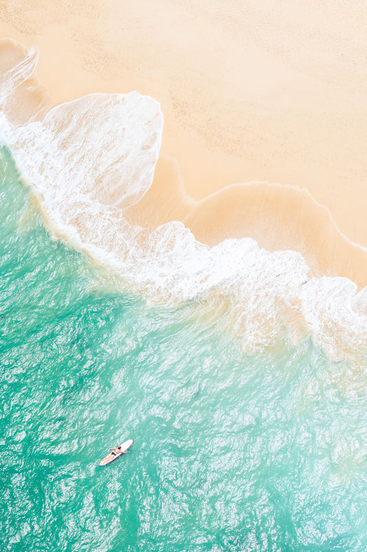 The Surfer, Maui