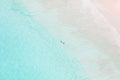 The Swimmers, Harbour Island