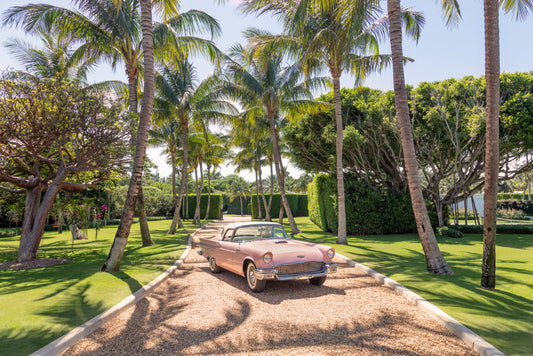 Product image for The Thunderbird, Palm Beach