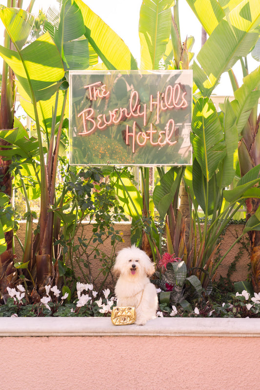 Product image for The Toy Poodle, The Beverly Hills Hotel