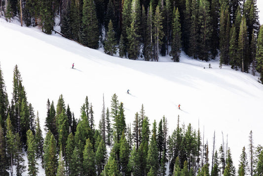 Product image for Three Skiers, Aspen