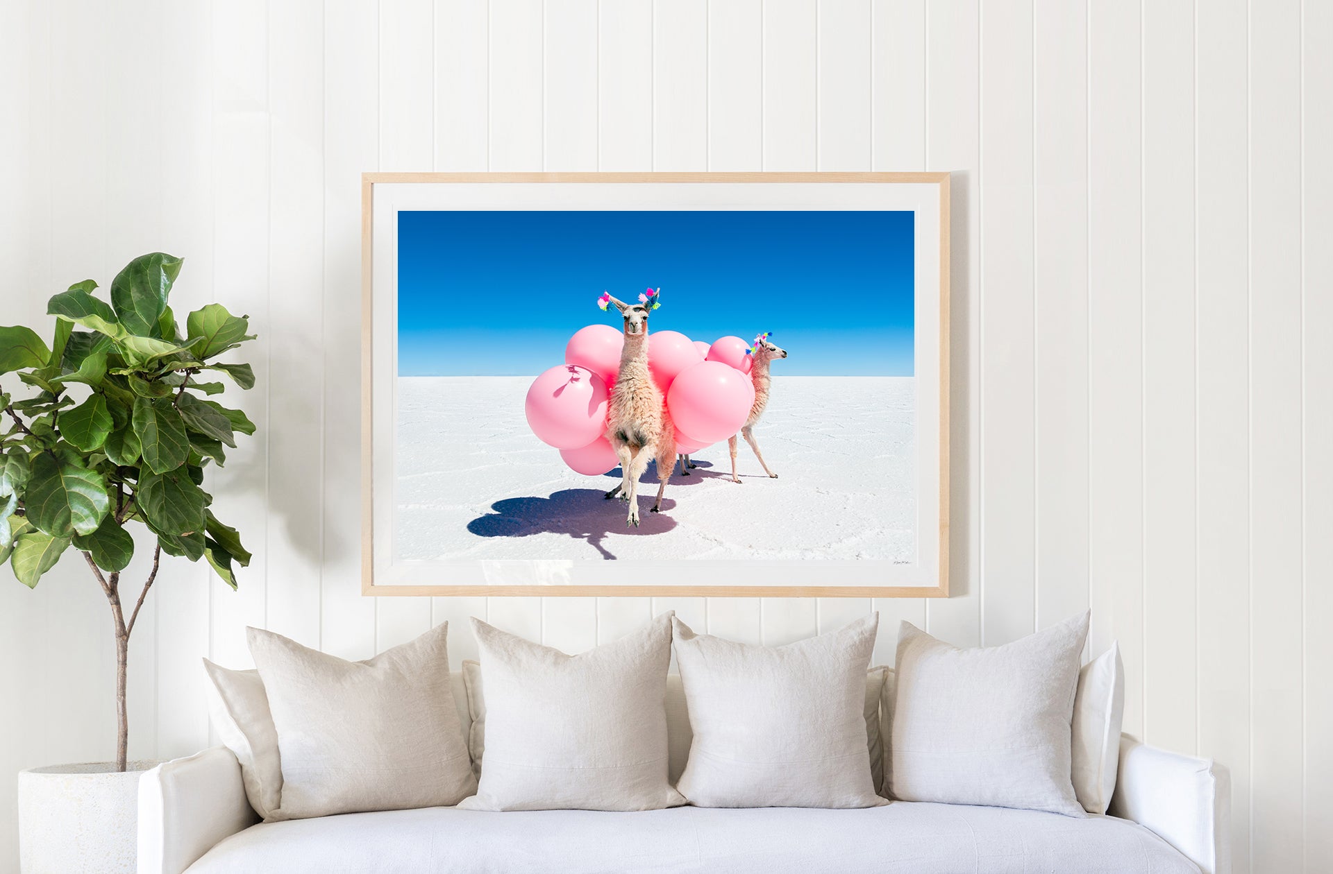 Two Llamas with Pink Balloons III