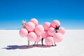 Two Llamas with Pink Balloons II
