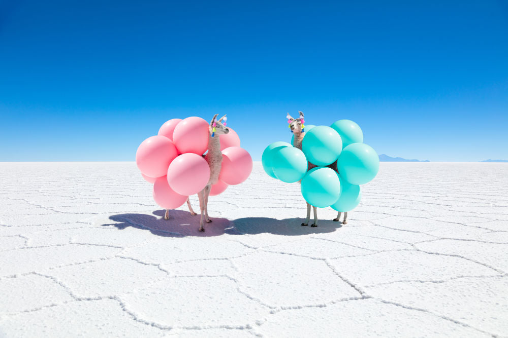 Two Llamas with Pink and Teal Balloons