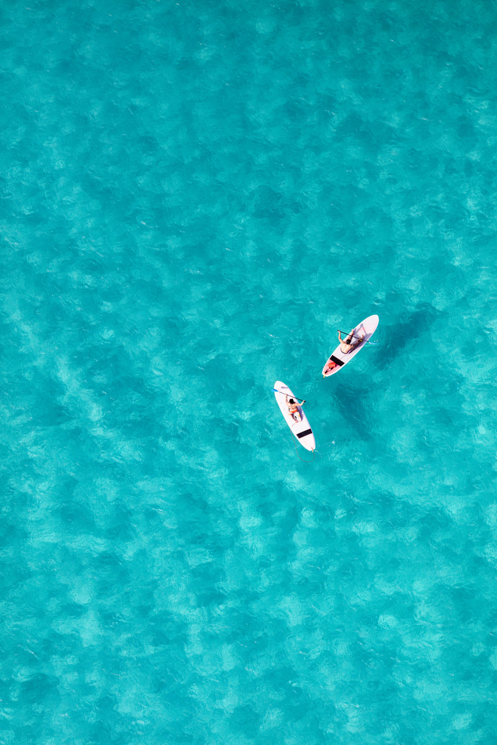 Two Paddle Boarders, Waikiki