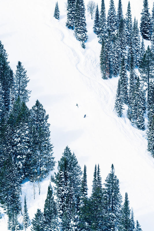 Product image for Two Skiers, Jackson Hole